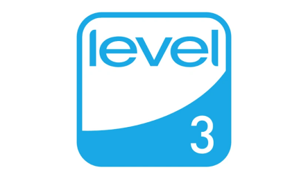 FEMB Level 3